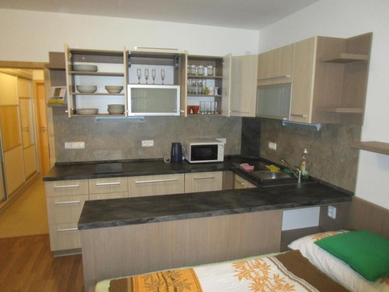 Apartman Ricky V Orlickych Horach Apartman Wüstenei Kültér fotó