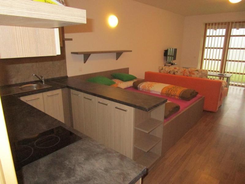 Apartman Ricky V Orlickych Horach Apartman Wüstenei Kültér fotó