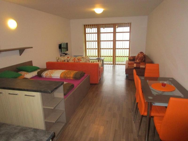 Apartman Ricky V Orlickych Horach Apartman Wüstenei Kültér fotó